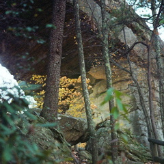 Red River Gorge in Fall